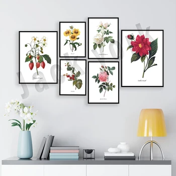 Френски ботаническата художествен плакат с пионом, малини, роза, ипомеей, латинки, подсолнухом, георгином естетически декоративен подарък